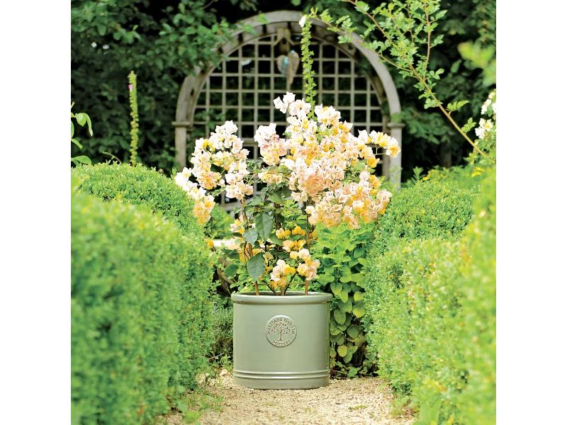 Woodlodge Heritage Plant Pot
