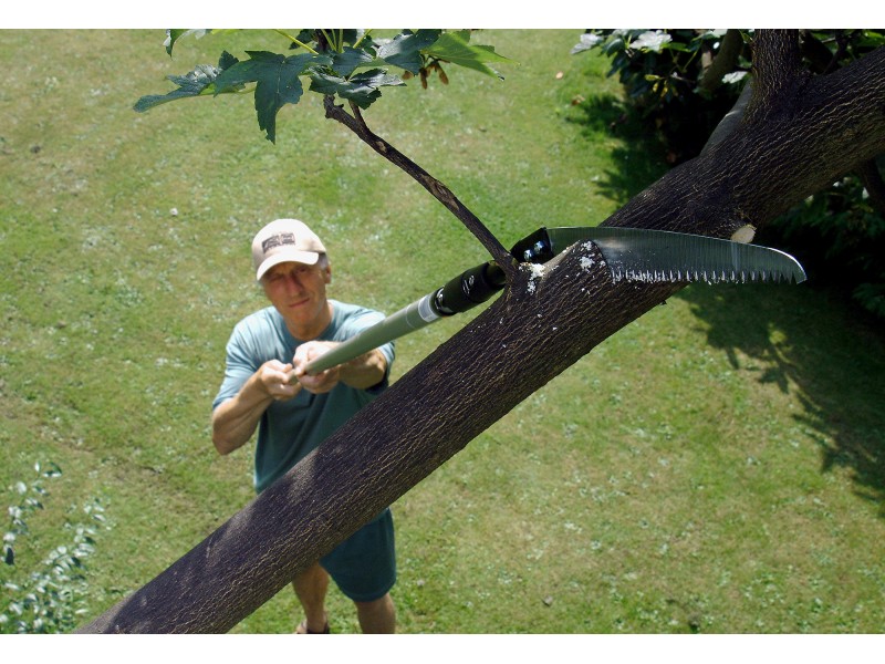 Darlac Sabre Tooth Saw