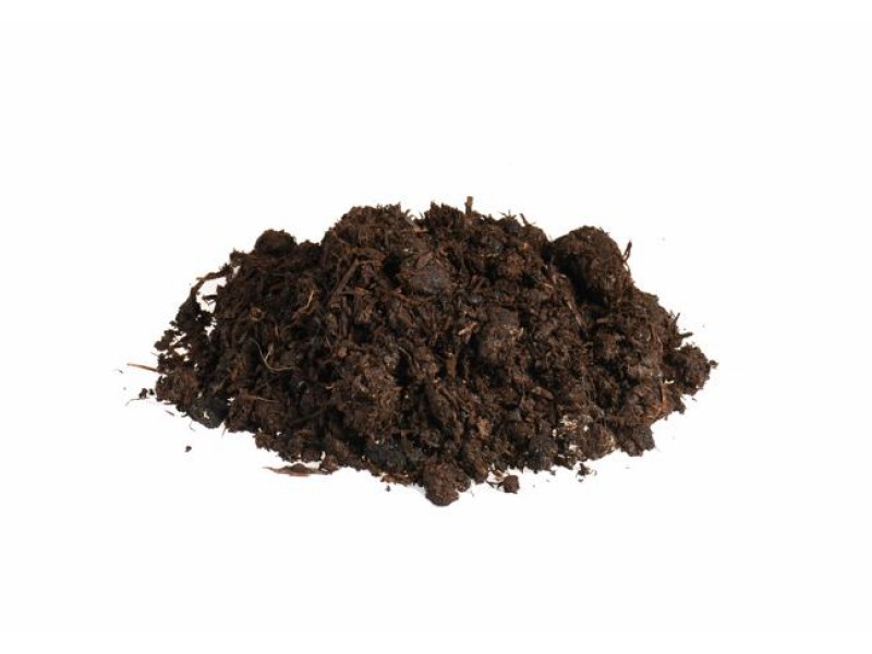 Woodland Mushroom Compost - 60L