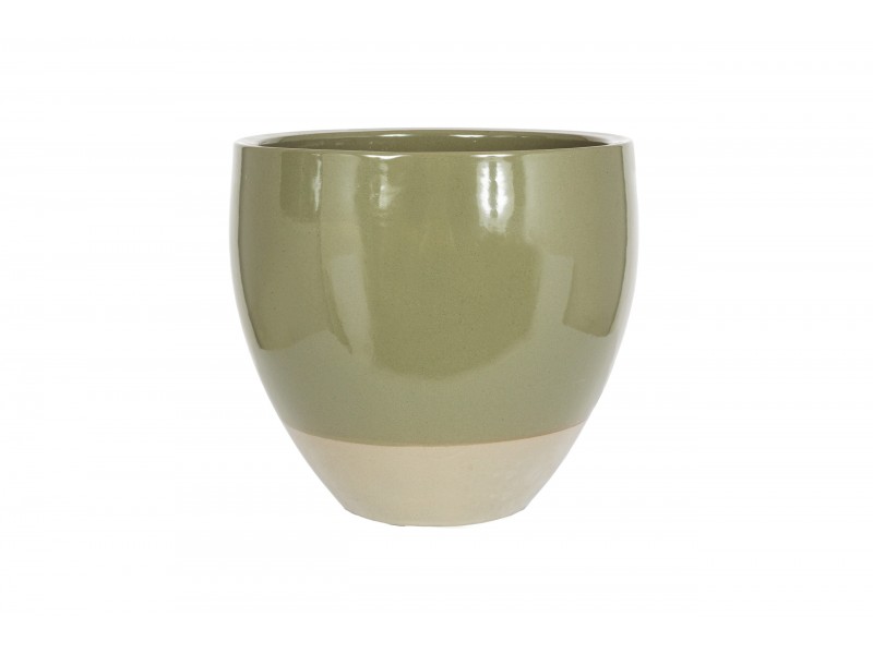 Apta Tamworth Egg Pot