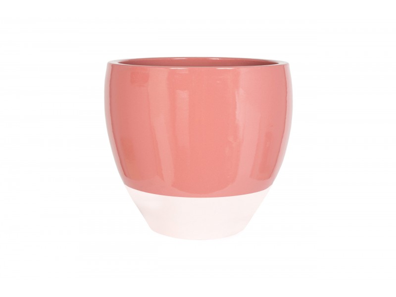 Apta Tamworth Egg Pot