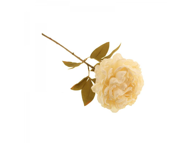 78cm Died Peony Single - White