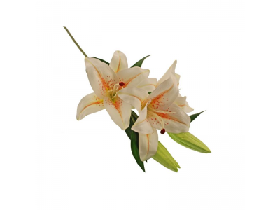 85cm Oriental Lily - Cream/Peach