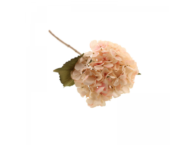 46cm Dried Hydrangea Single - Light Pink