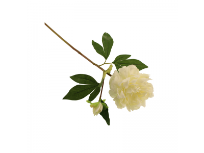 66cm Peony - Cream