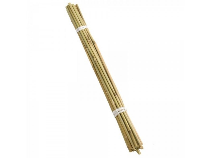 Natural Bamboo Canes