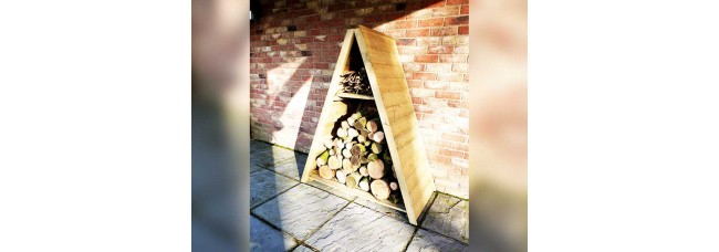 Shire Large Triangular Log Store T&G