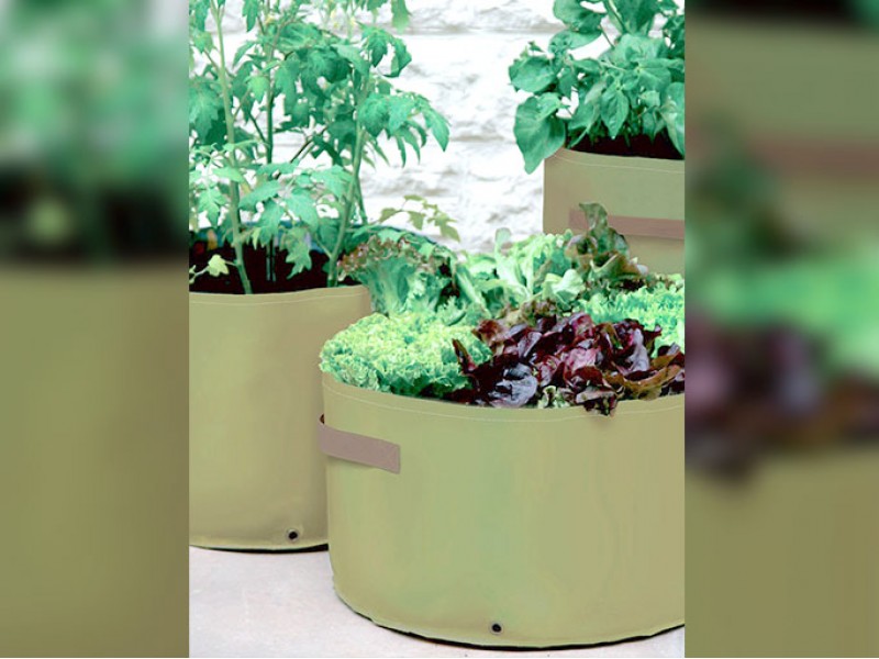 Haxnicks Vegetable Patio Planters