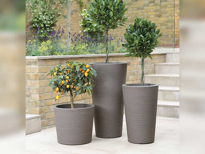 Stewart Varese Planters