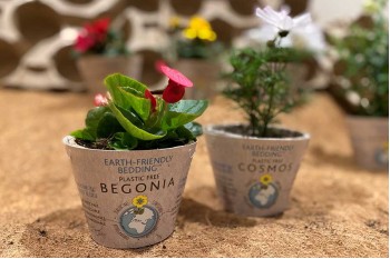 Bio-Degradable Pots: The Future of Sustainable Gardening?