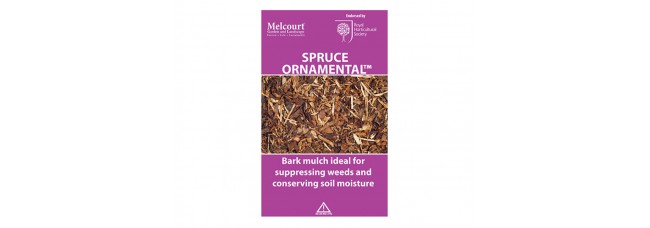 Melcourt Spruce Ornamental