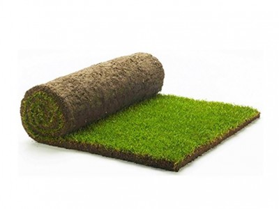 Rolawn Medallion Turf