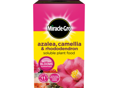 Miracle-Gro Azalea, Camelia and Rhododendron Soluble Plant Food