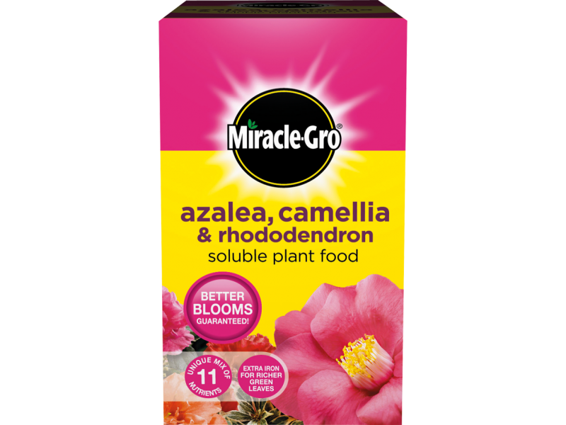 Miracle-Gro Azalea, Camelia and Rhododendron Soluble Plant Food