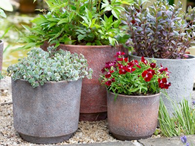 decoris planter glazed terracotta Terra Cotta Planter main image 0