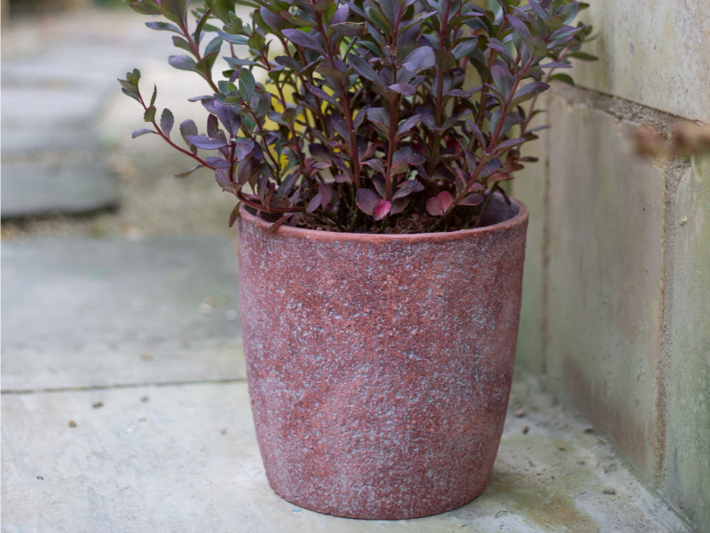 Apta Patina Tall Egg