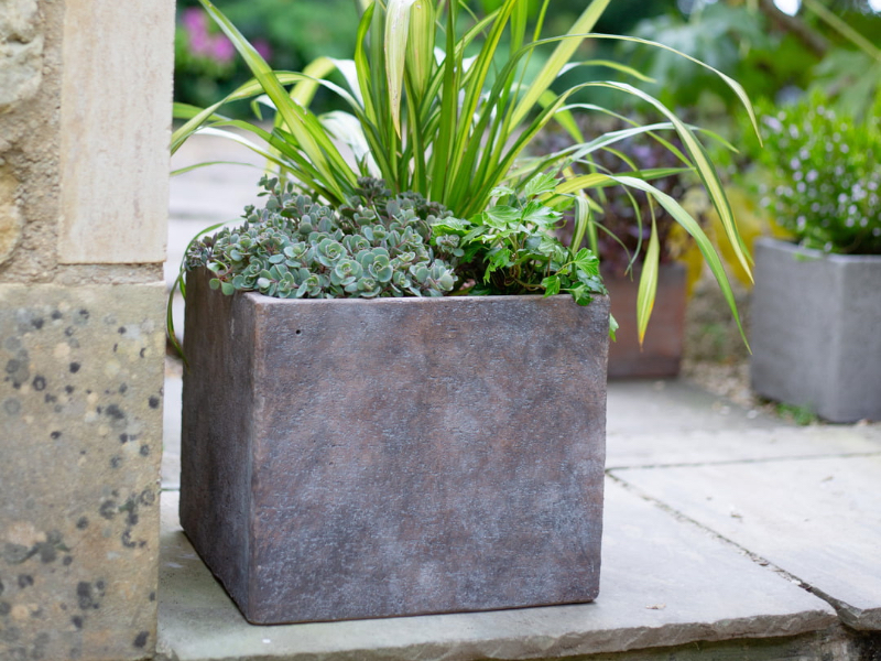 Apta Patina Cube