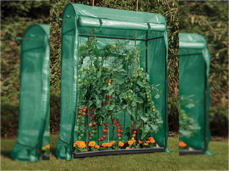 Gardman Premium Tomato Growhouse