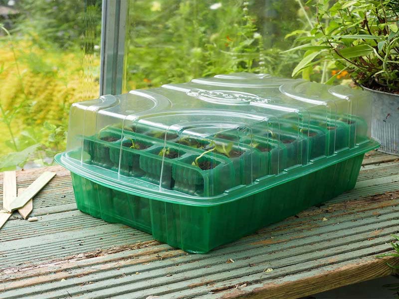 Westland Gro-Sure Visiroot 4 Cell Deep Kit Westland Gro-Sure Visiroot 4 Cell Deep Kit