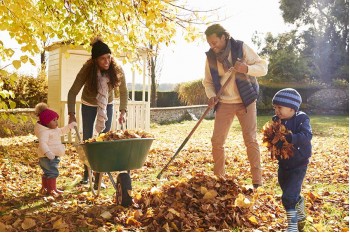 How to Prepare Your Garden for Autumn and Winter