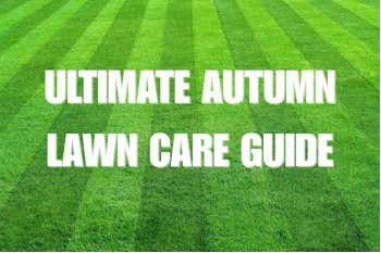 Autumn Lawn Care Guide: Expert Tips for a Healthy Lawn