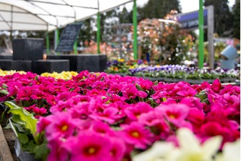 Great Easter Offers at Oxford Garden Centre