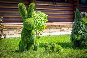 Embrace These New Gardening Trends in Time for Easter 