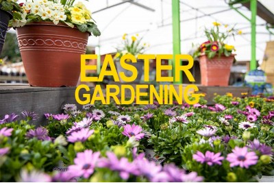 Give Your Garden a Springtime Facelift for Less this Easter