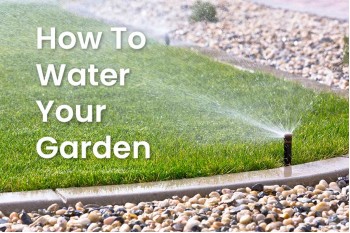How To Water Your Garden Properly