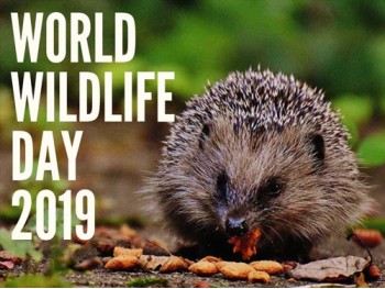 Add Wonder to Your Garden this World Wildlife Day