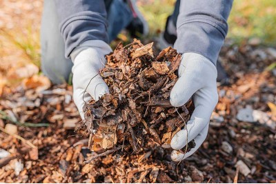 What is Garden Mulch & Why Should You Use It?