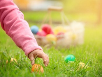 Easter Eggtravaganza at Oxford Garden Centre