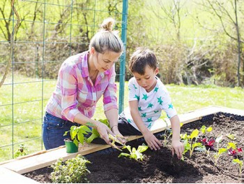 How You and the Kids Can Grow Your Own