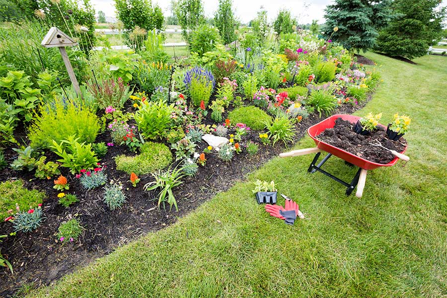 Large flower bed in a British garden planted to create year round colour