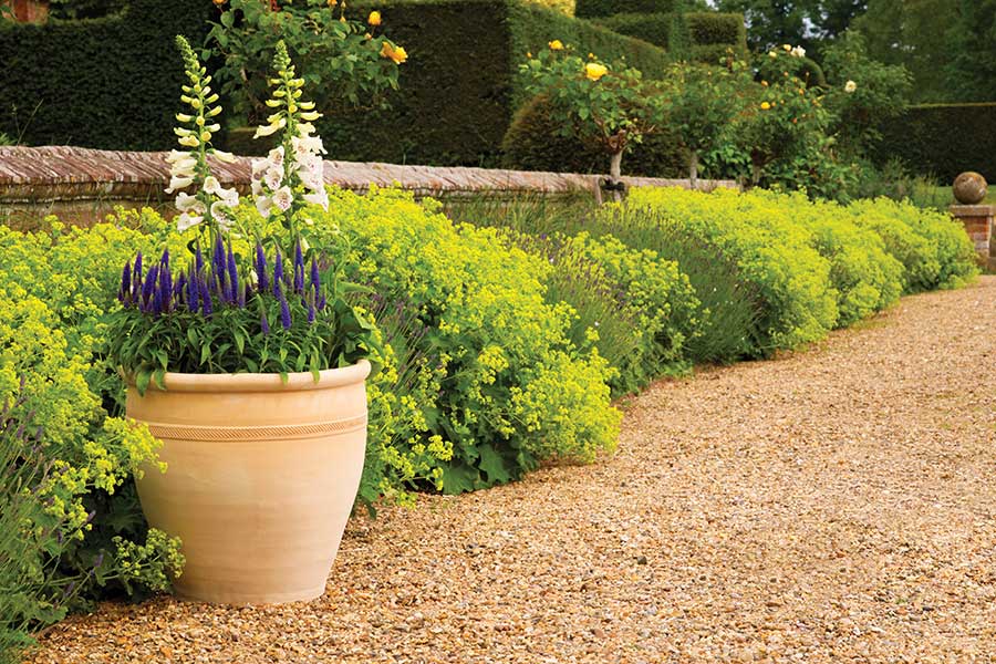 Large Apta Himalaya terracotta plant pot in a very pretty garden