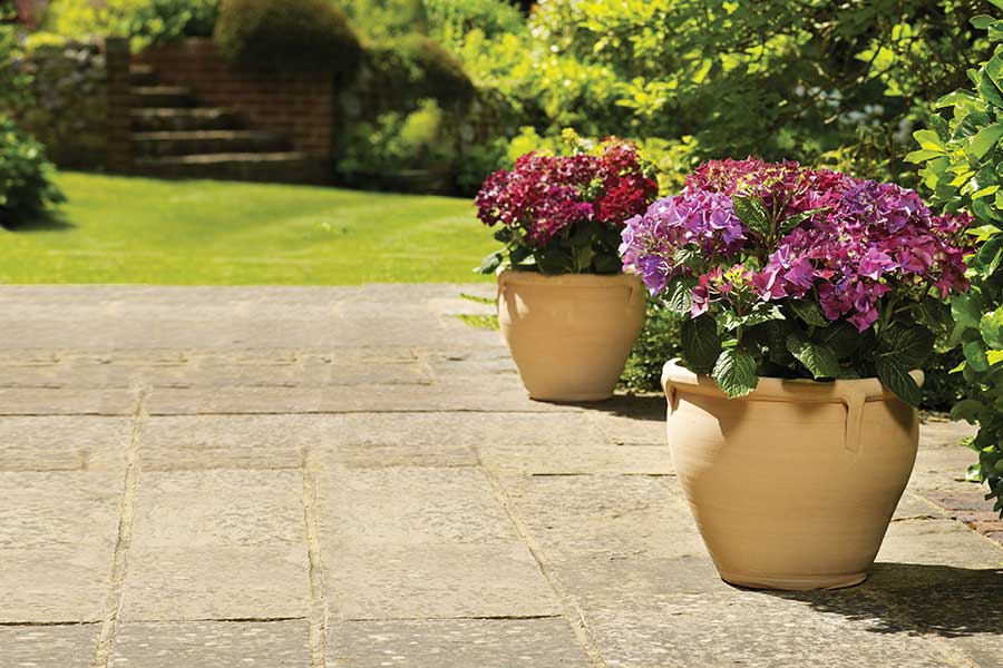 Lovely garden with 2 matching Apta terracotta vase plant pots