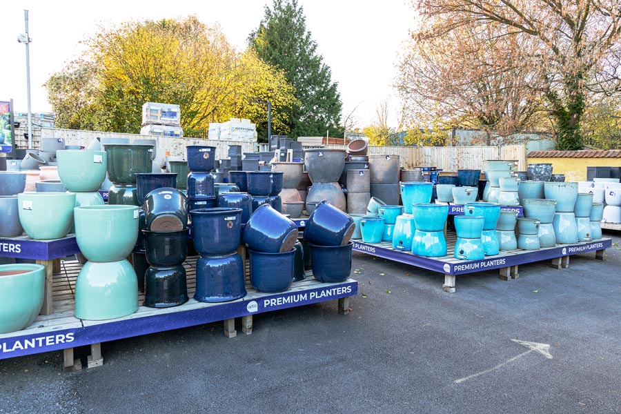 Large display of Apta plant pots at Oxford Garden Centre