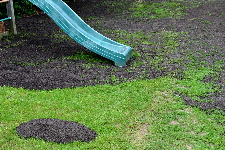 This lawn has been repaired with topdressing soil to encourage new growth and to level the surface of the lawn
