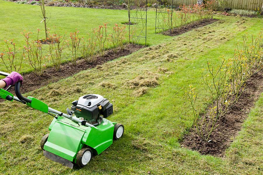 Autumn lawn care involves scarifying to remove moss and thatch from your grass with a rake or a machine