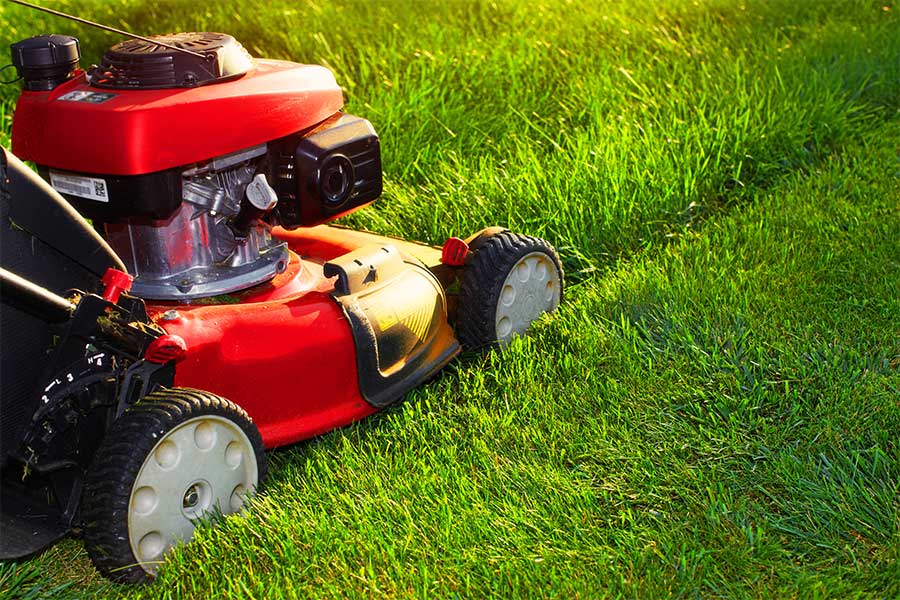 Leave grass longer when mowing your lawn in autumn to make the grass stronger
