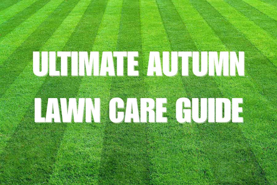 The Oxford Garden Centre ultimate autumn lawn care guide