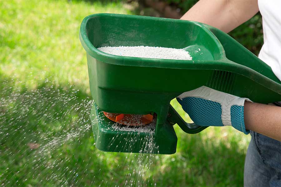 Scattering a mixed lawn feed and fertiliser with a hand applicator
