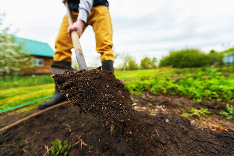 A gardener digging vegetable beds and adding compost ready for spring vegetable planting