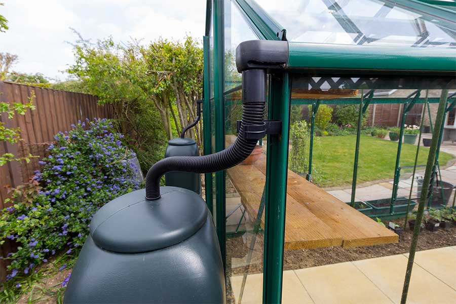 Water butt connected to green house guttering to collect water for a vegetable bed