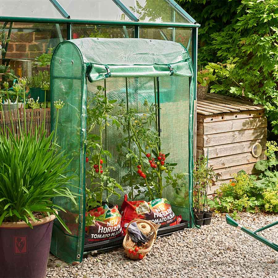 Small plant grow house on a patio