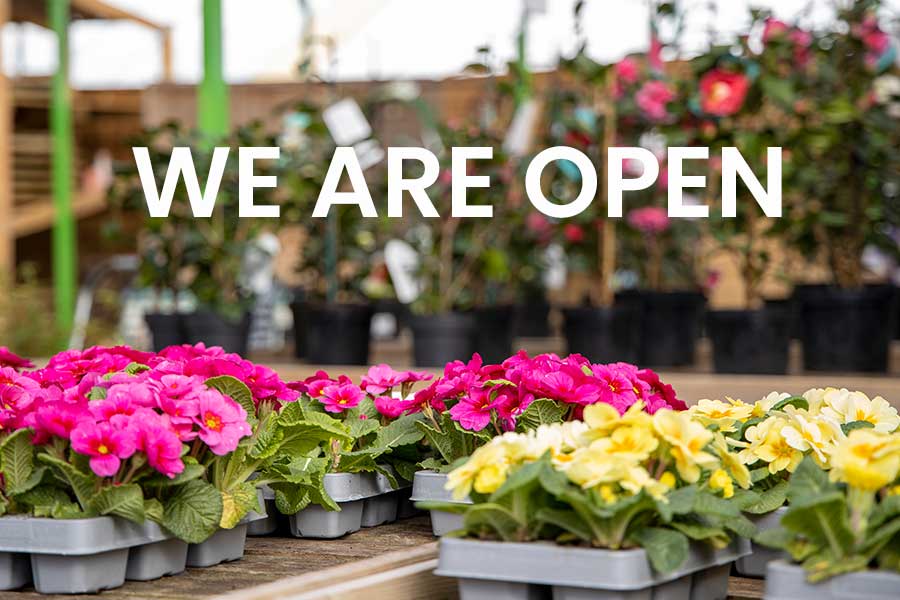 Oxford Garden Centre is open