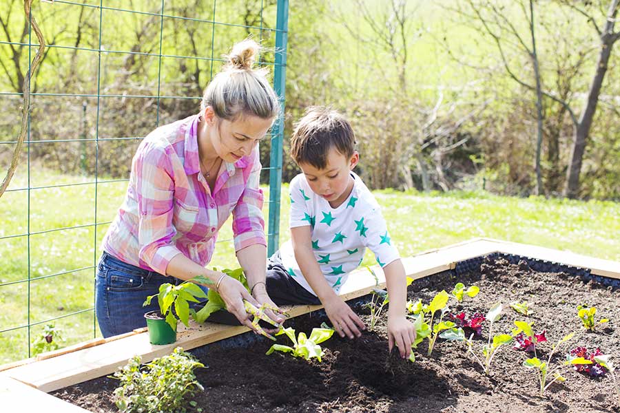 A mother and her young son planting vegetables in their garden