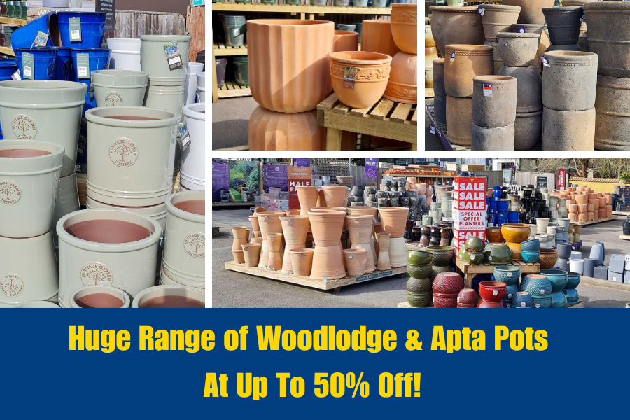 Displays of Apta and Woodlodge plant pots at Oxford Garden Centre