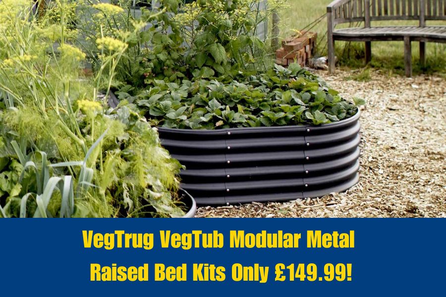 VegTrug metal raised bed kits used to plant flowers and vegetables