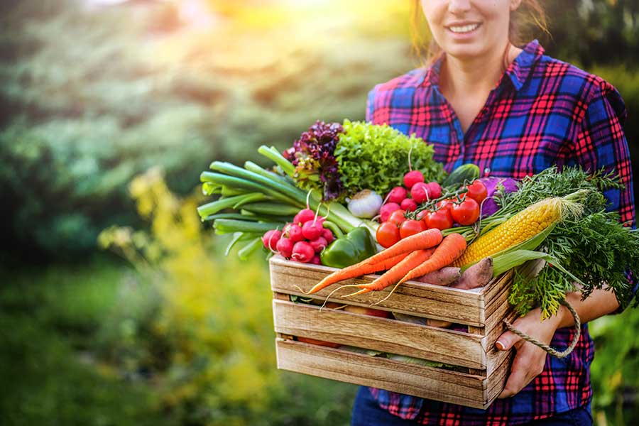 Gardener holding a box of vegetables